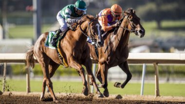 StellarWind Beholder Zenyatta Eclipse 0